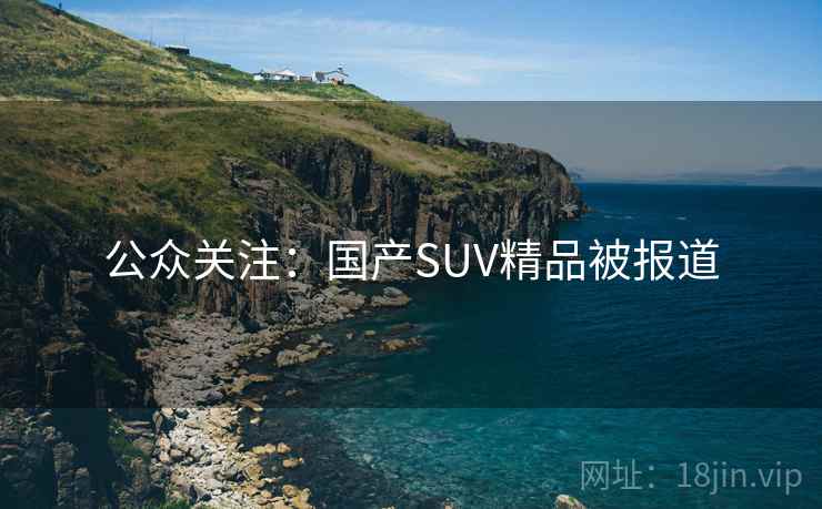 公众关注：国产SUV精品被报道  第1张