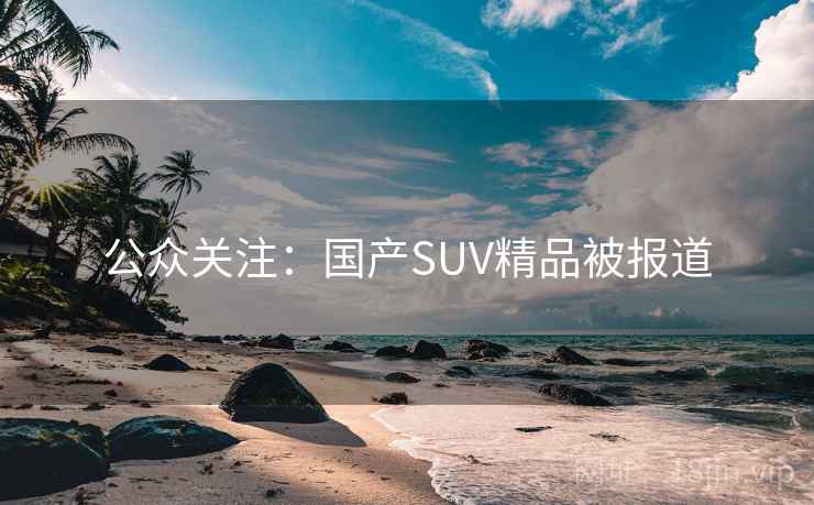 公众关注：国产SUV精品被报道  第2张